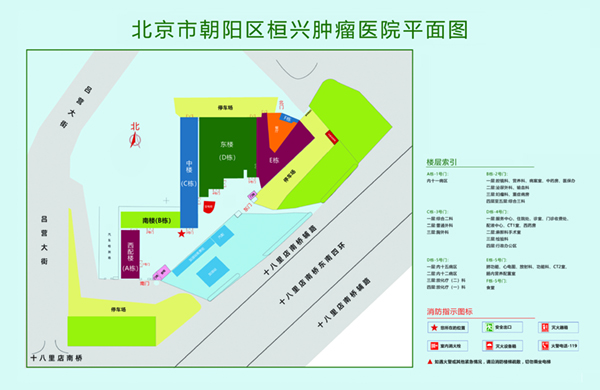 网上免费看操逼片北京市朝阳区桓兴肿瘤医院平面图